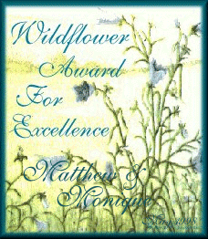 Wildflower Award for Excellence